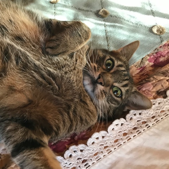 Meet your Posher, Denise - Picture 3 of 5